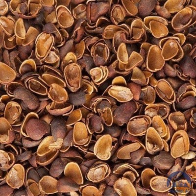 Скорлупа Кедрового Ореха (Barus Nut Shell) купить в Армавире